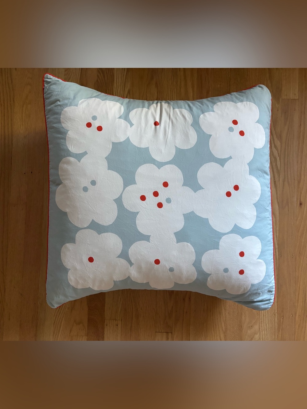 Schoolhouse Paper Flowers Euro Sham - great condition!